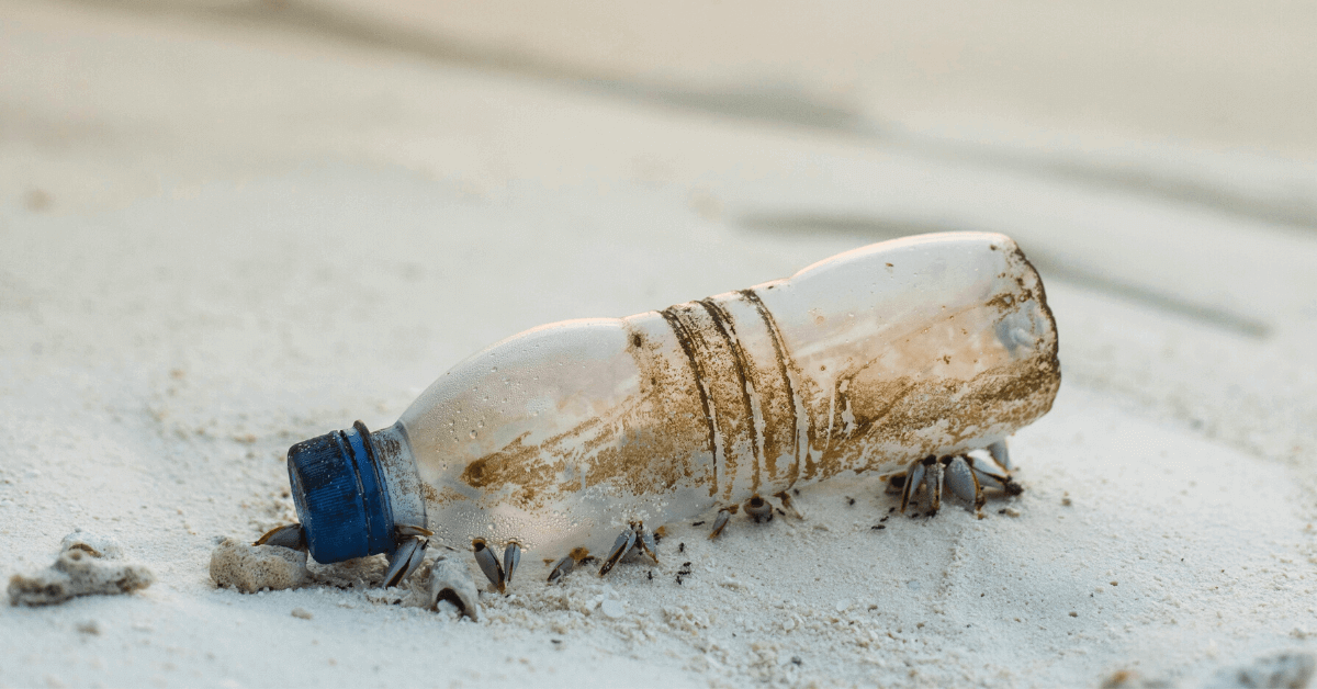 How to Reduce Plastic Use: 18 Simple Ways (for 2020). Featured Image.